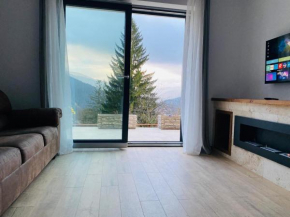 Stone Apartment with sauna Sinaia